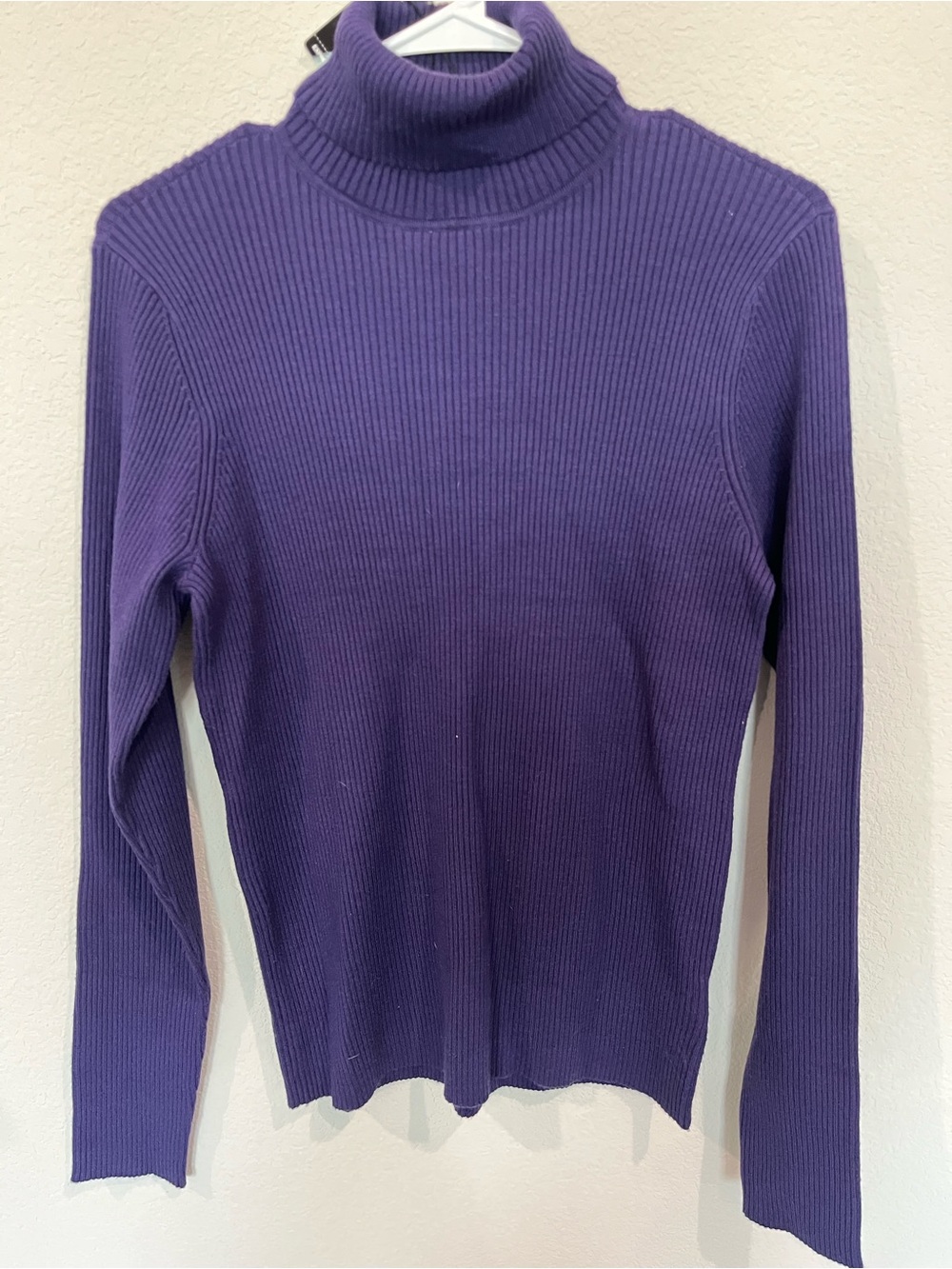 Express Ribbed Turtleneck Long Sleeve Top - Purple